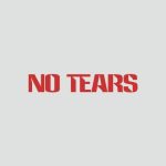 دانلود آهنگ Minelli به نام No Tears