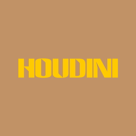 دانلود آهنگ Dua Lipa به نام Houdini