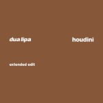 دانلود آهنگ Dua Lipa به نام Houdini (Extended Edit)