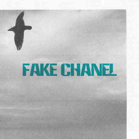 دانلود آهنگ MØ به نام Fake Chanel