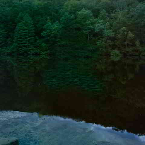 دانلود آهنگ Lizzy McAlpine به نام Older