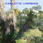دانلود آهنگ Charlotte Lawrence به نام I Don’t Wanna Dance