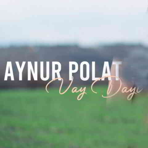 دانلود آهنگ Aynur Polat به نام Vay Dayı
