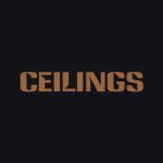 دانلود آهنگ Lizzy McAlpine به نام ceilings