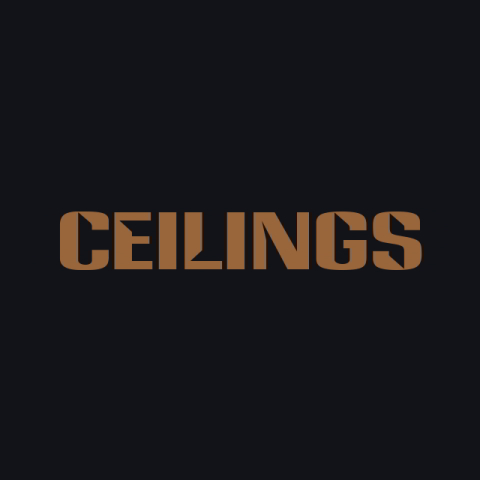 دانلود آهنگ Lizzy McAlpine به نام ceilings