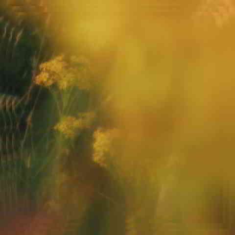 دانلود آهنگ Hannah Grace به نام Golden