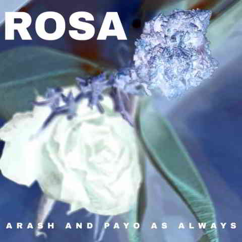 دانلود آهنگ Arash, payo, Dized به نام Rosa