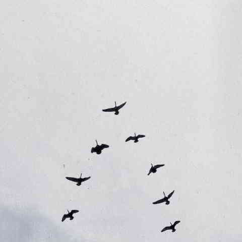 دانلود آهنگ Nelly Furtado, Sid Sriram به نام GOD