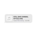 دانلود آهنگ Lizzo به نام Still Bad (Animal Style)