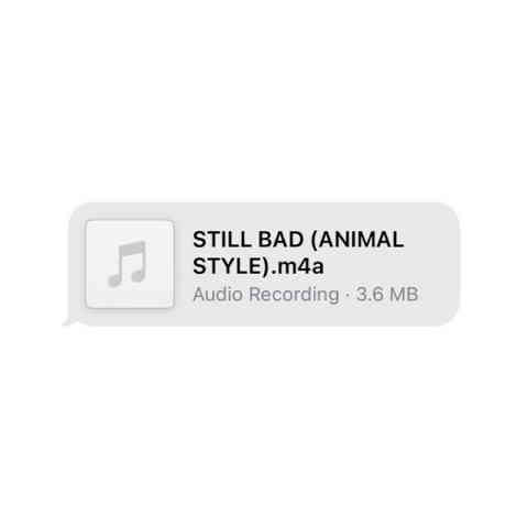 دانلود آهنگ Lizzo به نام Still Bad (Animal Style)