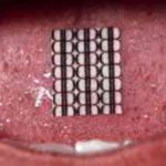 دانلود آهنگ Lil Tecca به نام OWA OWA