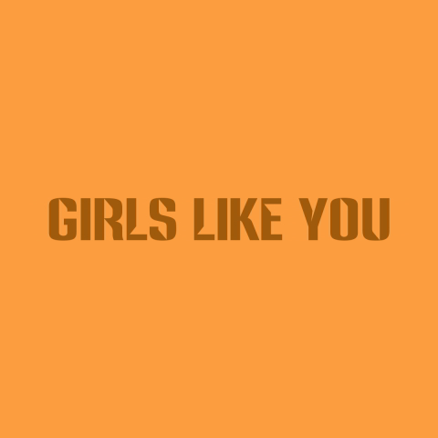 دانلود آهنگ Sofia Camara به نام Girls Like You