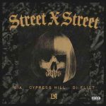 دانلود آهنگ Sia, Cypress Hill, DJ FLICT به نام STREET X STREET