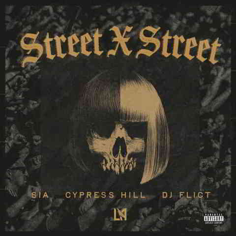 دانلود آهنگ Sia, Cypress Hill, DJ FLICT به نام STREET X STREET
