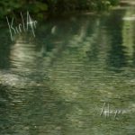 دانلود آهنگ Aleyna Tilki به نام Uçurtma