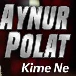 دانلود آهنگ Aynur Polat به نام Kime Ne