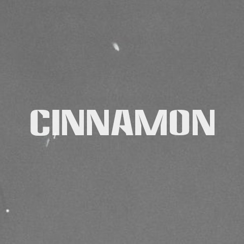 دانلود آهنگ BENEE به نام Cinnamon