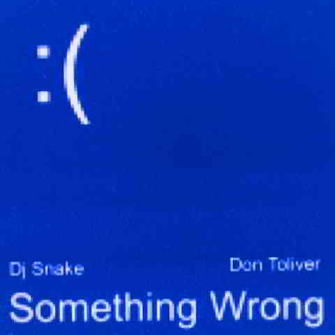 دانلود آهنگ DJ Snake, Don Toliver به نام Something Wrong