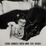 دانلود آهنگ Lana Del Rey به نام White Feather Hawk Tail Deer Hunter