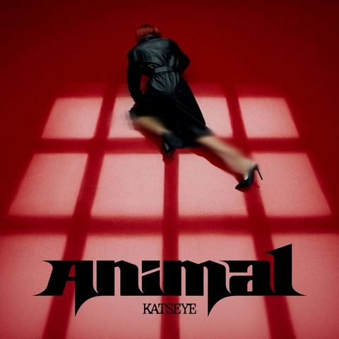 دانلود آهنگ KATSEYE به نام Animal