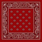 دانلود آهنگ The Game, YG, Swizz Beatz, Timbaland به نام Red People