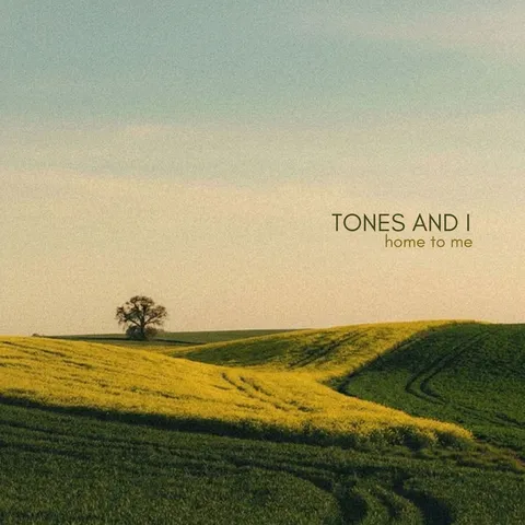 دانلود آهنگ Tones And I به نام Home To Me