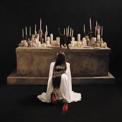 دانلود آهنگ Tove Lo به نام DNH