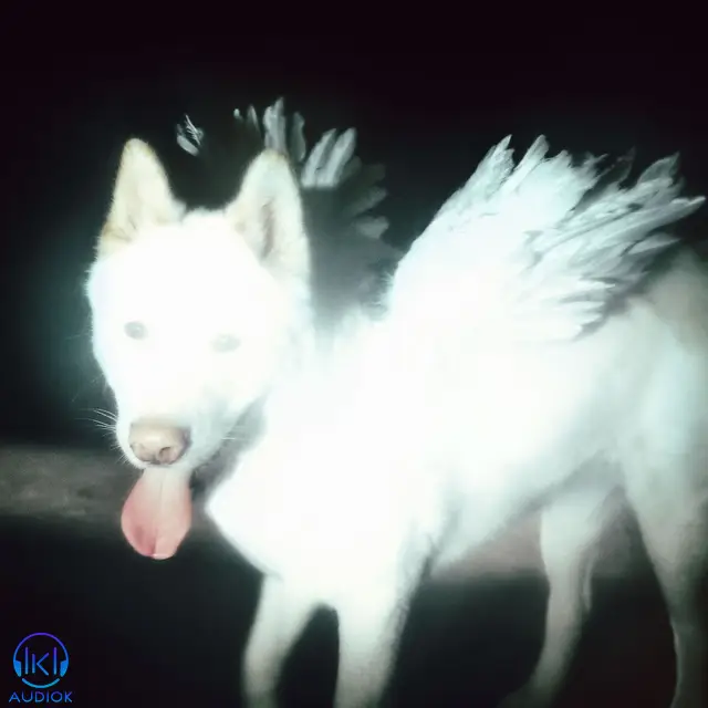 دانلود آهنگ Fat Dog به نام Call It What You Want