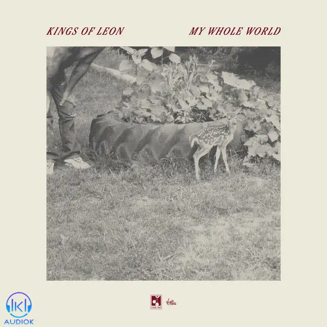 دانلود آهنگ Kings Of Leon به نام My Whole World