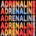 دانلود آهنگ AFROJACK, SOFI TUKKER, Arti Prjct به نام ADRENALINE