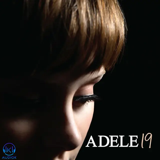 دانلود آهنگ Adele به نام Make You Feel My Love