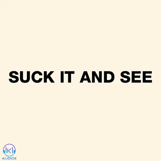 دانلود آهنگ Arctic Monkeys به نام Brick By Brick