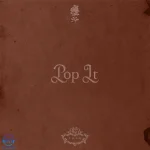 دانلود آهنگ Gunna به نام pop it