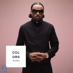 دانلود آهنگ La Fève, COLORS به نام RIEN D’EXCEPTIONNEL – A COLORS SHOW