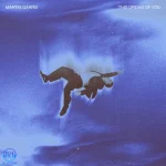 دانلود آهنگ Martin Garrix به نام This Dream of You