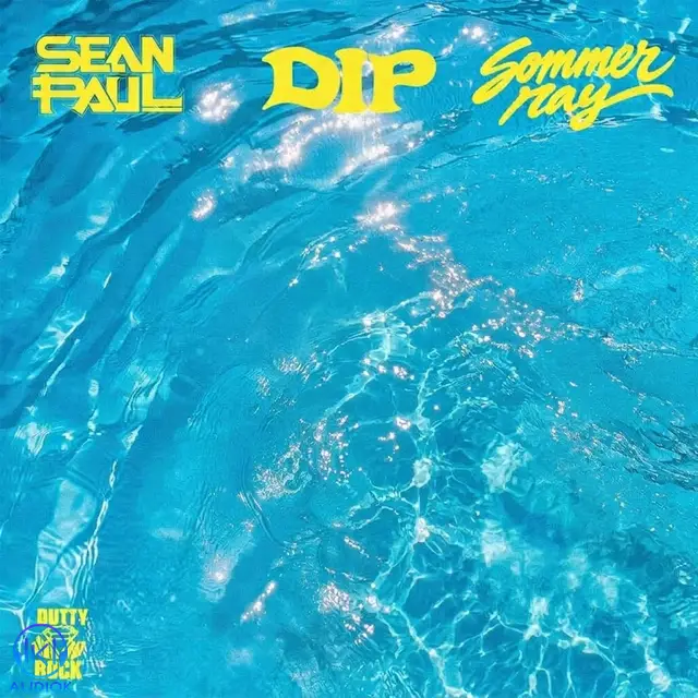 دانلود آهنگ Sean Paul, Sommer Ray به نام DIP