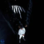 دانلود آهنگ Werenoi به نام Pétunias